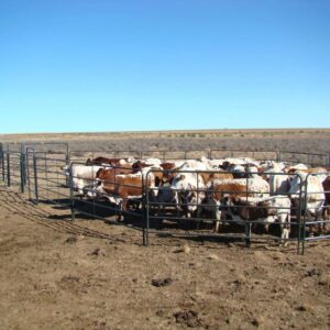 Portable Cattle Kraal with Trailer