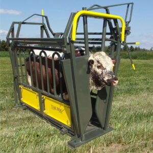 Neck and Body Clamp (Feed lot)